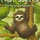 Fast Sloths board game