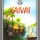 Kaivai board game