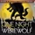 One Night Ultimate Werewolf board game