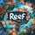 Reef board game