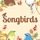 Songbirds board game