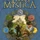 Terra Mystica board game