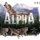 The Alpha board game