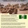 The White Tribe: Rhodesia's War 1966-1980 board game