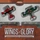 Wings of Glory: WW1 Duel Pack board game